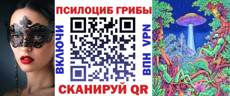 Галлюциногенные грибы Psilocybe  хочу   Кумертау 